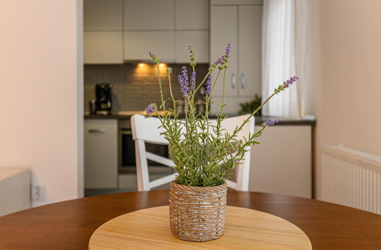 Stars Apartment Brasov Ngoại thất bức ảnh